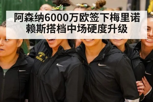 阿森纳6000万欧签下梅里诺赖斯搭档中场硬度升级